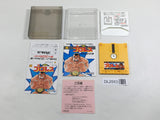 DL2553 Pro Wrestling Famicom Wrestling Association BOXED Famicom Disk Japan