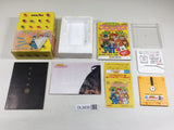 DL2635 Kieta Princess BOXED Famicom Disk Japan