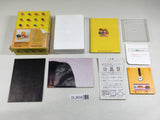 DL2635 Kieta Princess BOXED Famicom Disk Japan