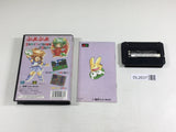 DL2637 Puyo Puyo BOXED Mega Drive Genesis Japan