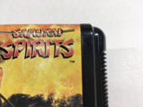 DL2691 Samurai Spirits Mega Drive Genesis Japan
