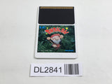 DL2841 Don Doko Don PC Engine Japan