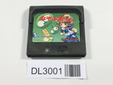 DL3001 Nazo Puyo 2 Puyo Sega Game Gear Japan