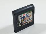 DL3017 Sonic The Hedgehog 2 Sega Game Gear Japan