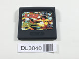 DL3040 Ultimate Soccer Sega Game Gear Japan