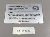 DL3061 Tested Working - SUPER FAMICOM SNES Console Nintendo Japan