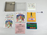 DL3135 Exciting Baseball Nintendo Famicom Disk Japan