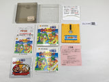 DL3145 Doki Doki Panic Dream Factory Heartbeat Nintendo Famicom Disk Japan