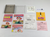 DL3154 Marchen Veil Nintendo Famicom Disk Japan