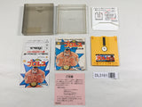 DL3161 Pro Wrestling Famicom Wrestling Association Nintendo Famicom Disk Japan