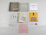 DL3161 Pro Wrestling Famicom Wrestling Association Nintendo Famicom Disk Japan