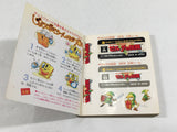 DL3165 The Legend Of Zelda 1 Nintendo Famicom Disk Japan