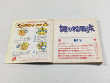 DL3172 Nazo no Murasame Jo Nintendo Famicom Disk Japan