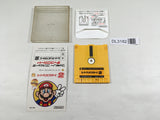 DL3182 Super Mario Bros. 2 Nintendo Famicom Disk Japan