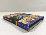 DL3244 Super Smash Bros. Melee DX Nintendo GameCube Japan