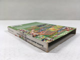 DL3265 Superstar Baseball Super Mario Stadium Miracle Nintendo GameCube Japan