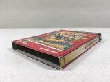 DL3269 Paper Mario The Thousand Year Door Nintendo GameCube Japan
