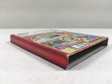 DL3269 Paper Mario The Thousand Year Door Nintendo GameCube Japan