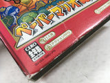 DL3269 Paper Mario The Thousand Year Door Nintendo GameCube Japan