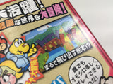 DL3269 Paper Mario The Thousand Year Door Nintendo GameCube Japan
