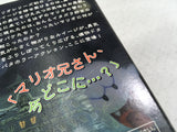 DL3271 Luigi's Mansion Nintendo GameCube Japan