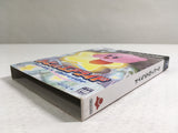 DL3284 Kirby Air Ride Nintendo GameCube Japan