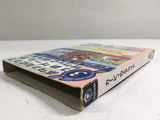 DL3285 Kirby Air Ride Nintendo GameCube Japan