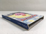 DL3286 Kirby Air Ride Nintendo GameCube Japan