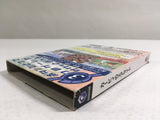 DL3286 Kirby Air Ride Nintendo GameCube Japan