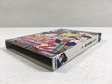 DL3293 Naruto Clash of Ninja 2 Nintendo GameCube Japan