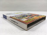 DL3296 Naruto Gekito Ninja Taisen! 4 Nintendo GameCube Japan