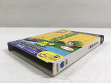 DL3298 Animal Crossing Doubutsu no Mori + Nintendo GameCube Japan