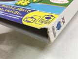 DL3298 Animal Crossing Doubutsu no Mori + Nintendo GameCube Japan