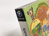 DL3298 Animal Crossing Doubutsu no Mori + Nintendo GameCube Japan