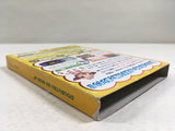 DL3299 Animal Crossing Doubutsu no Mori e-Plus Nintendo GameCube Japan