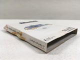 DL3303 Final Fantasy Crystal Chronicles Nintendo GameCube Japan