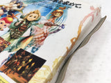DL3303 Final Fantasy Crystal Chronicles Nintendo GameCube Japan