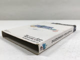 DL3304 Final Fantasy Crystal Chronicles Nintendo GameCube Japan