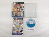 DL3305 One Piece Treasure Battle! Nintendo GameCube Japan