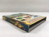 DL3306 Donkey Kong Jungle Beat Nintendo GameCube Japan