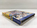 DL3315 Rave Master Groove Adventure Rave Nintendo GameCube Japan