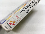 DL3315 Rave Master Groove Adventure Rave Nintendo GameCube Japan