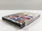 DL3318 Sonic Adventure DX Nintendo GameCube Japan
