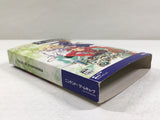 DL3326 Tales of Symphonia Nintendo GameCube Japan