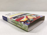DL3326 Tales of Symphonia Nintendo GameCube Japan