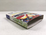 DL3327 Tales of Symphonia Nintendo GameCube Japan