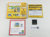 DL3382 New Super Mario Bros. Boxed Nintendo DS Japan