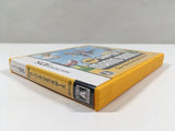 DL3384 New Super Mario Bros. Boxed Nintendo DS Japan