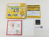 DL3385 New Super Mario Bros. Boxed Nintendo DS Japan