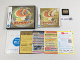DL3404 Pokemon Heart Gold Boxed Nintendo DS Japan